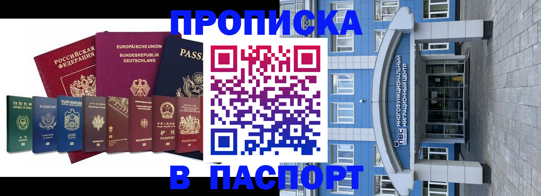 прописка штамп в Приволжске